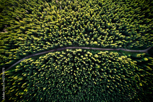 Leinwand Poster Aerial drone view of mountain road or pathway through alpine coniferous forest with green trees