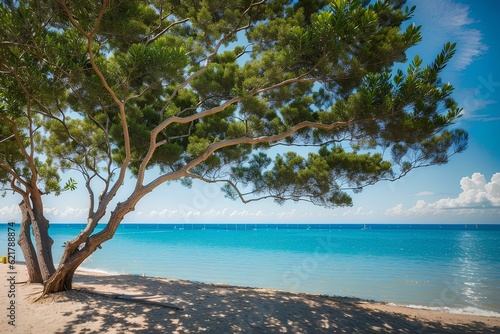 tree on the beach © zahid