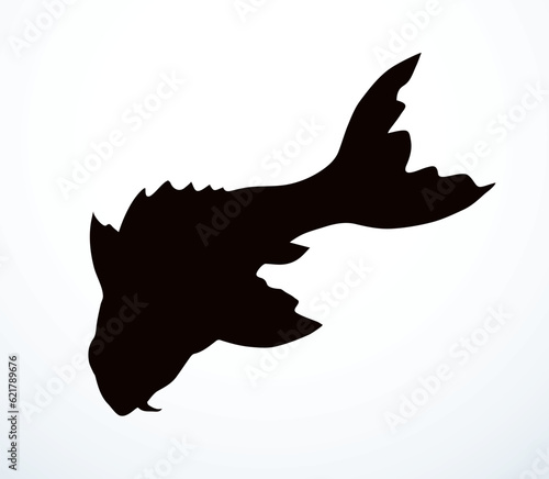 Vector drawing. Fish in the water