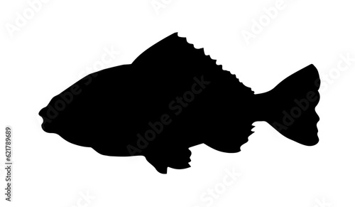 Vector drawing. Fish in the water