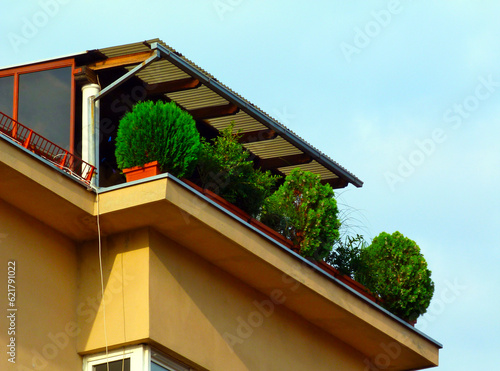 roof terrace and balcony in multi storey residential building with ball shaped small evergreen shrub guard rail along the parapet edge. arborvitae. blue sky above. nature in urban environment concept photo