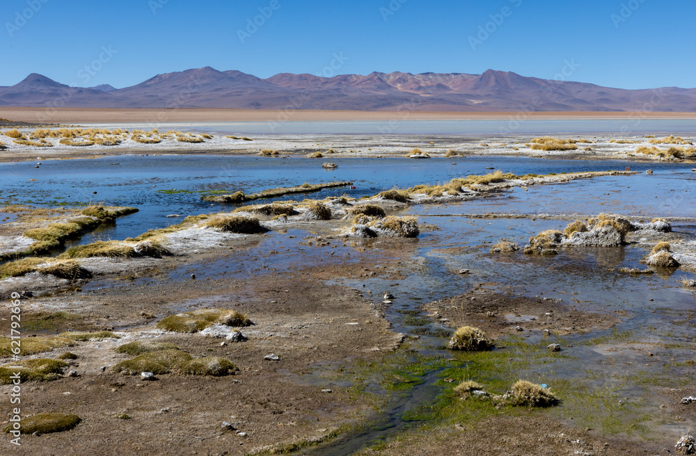 Laguna Chalviri, just one natural sight while traveling the scenic lagoon route through the Bolivian Altiplano in South America