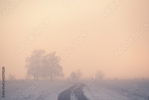 Road with frost-covered trees in winter forest at foggy sunrise. © smallredgirl