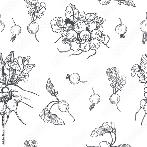 Radish set. Vector pattern.