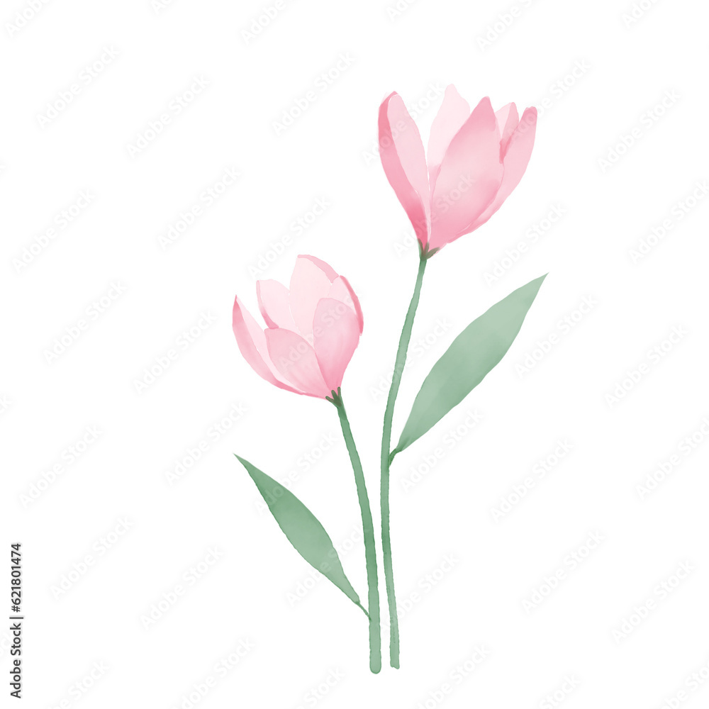 beautiful flower watercolor transparent background created with procreate beautiful flower watercolor transparent background created with procreate