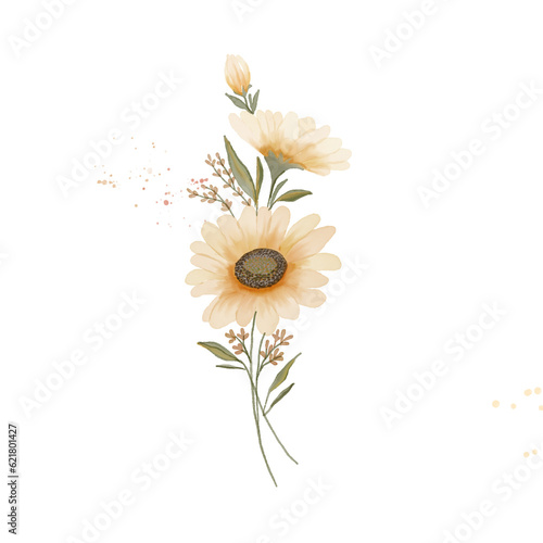 beautiful flower watercolor transparent background created with procreate