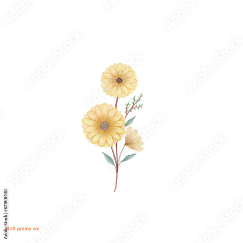beautiful flower watercolor transparent background created with procreate