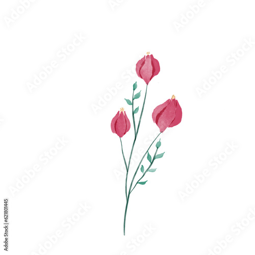 beautiful flower watercolor transparent background created with procreate