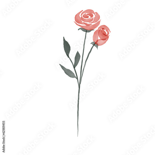 beautiful flower watercolor transparent background created with procreate