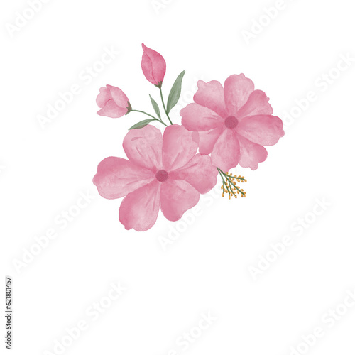 beautiful flower watercolor transparent background created with procreate