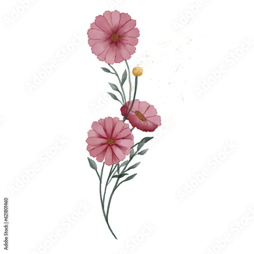 beautiful flower watercolor transparent background created with procreate