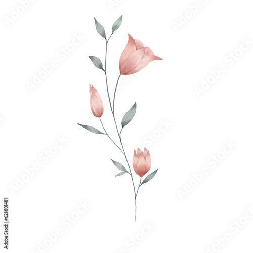 beautiful flower watercolor transparent background created with procreate