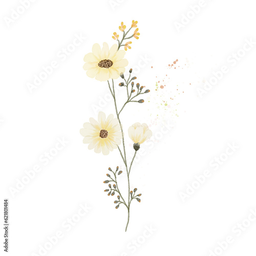beautiful flower watercolor transparent background created with procreate