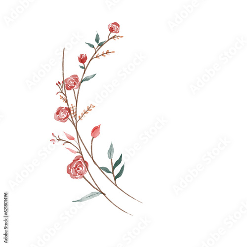 beautiful flower watercolor transparent background created with procreate
