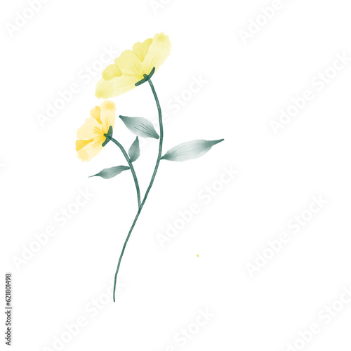 beautiful flower watercolor transparent background created with procreate