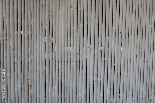 White painted whole bamboo wall or backdrop.