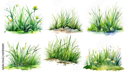 Watercolor Grass Clipart, Grass Collection. Generative AI © Aspect_Studio