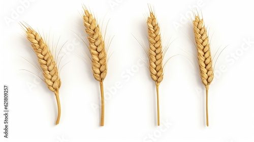 ears of golden wheat isolated on a white background. Generative AI