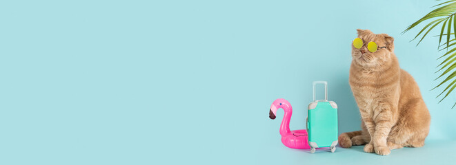 Funny cat wearing sunglasses sitting next to the blue suitcase and flamingo rubber ring. Travel concept, tours sale. Tour operator sale banner, summer vacation, holidays vibes. Adventure. Pet hotel