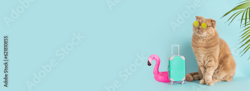 Funny cat wearing sunglasses sitting next to the blue suitcase and flamingo rubber ring. Travel concept, tours sale. Tour operator sale banner, summer vacation, holidays vibes. Adventure. Pet hotel