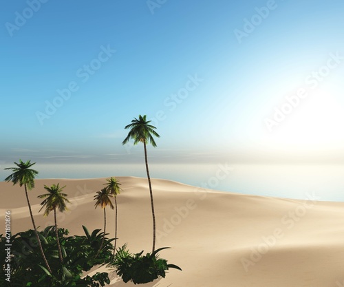 Beautiful beach with palm trees at sunset, panorama of a tropical landscape, sea sunset, 3d rendering