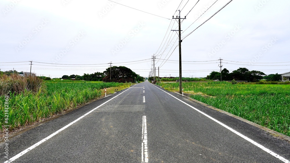 鹿児島県与論島のサトウキビ畑の一本道