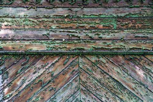 Texture. Very old boards with traces of green paint