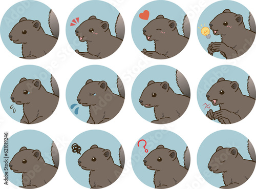 タイワンリスの表情アイコンセット