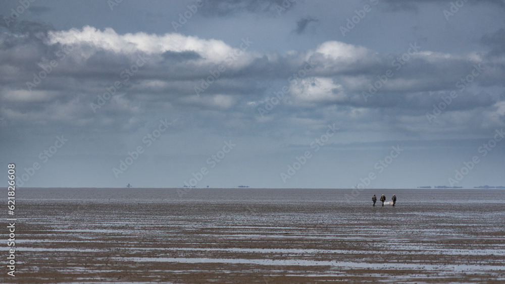 Three fishermen walking out into the North Sea mudflats to go plaice fishing