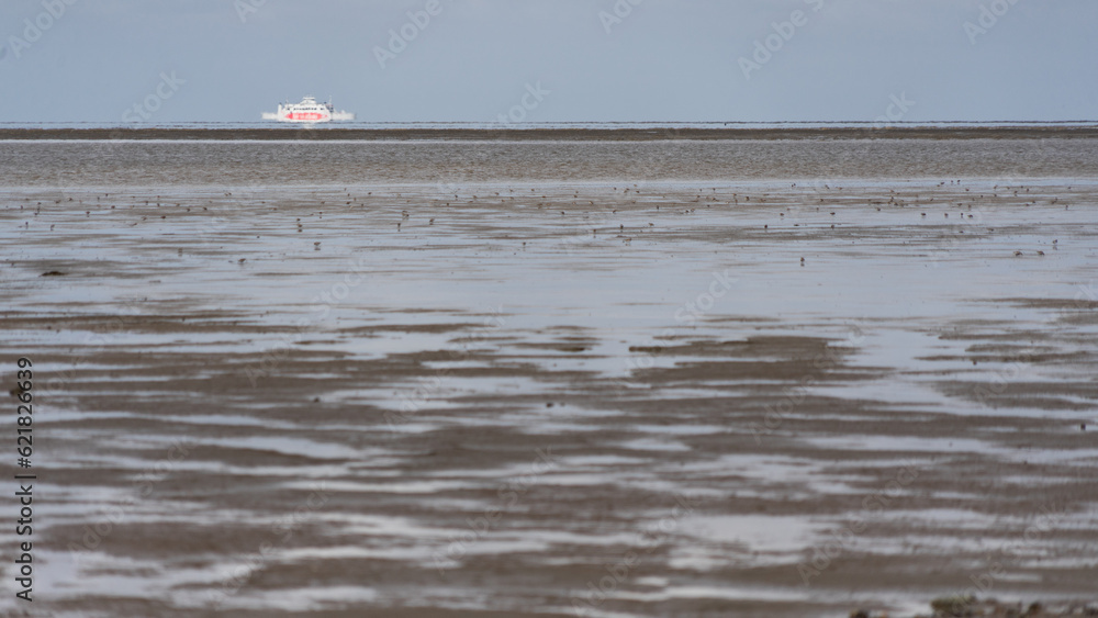 The island ferry between Sylt and Rømø shimmers like a mirage on the horizon behind the mud flats of Wadden Sea at low tide