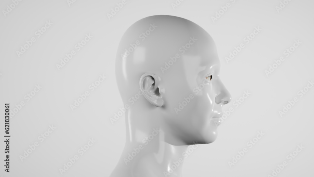 male hyper-realistic robot or cyborg in studio with white light. Artificial intelligence or neural network in image cybernetic man. Digital technology concept. 3d render male hyper-realistic robot or cyborg in studio with white light. Artificial intelligence or neural network in image cybernetic man. Digital technology concept. 3d render