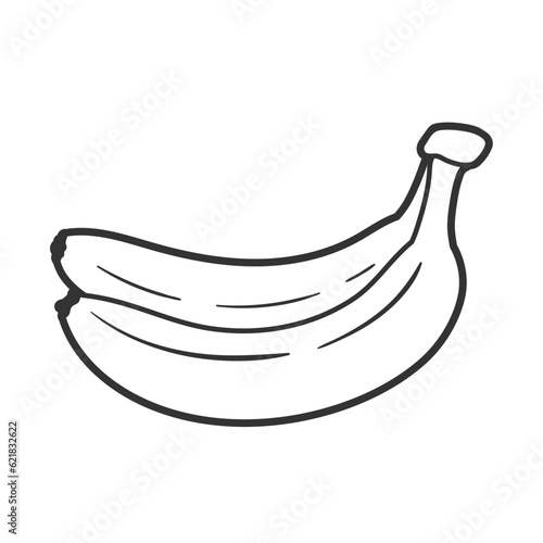 Line art of banana isolated on white background. One line style. Vector illustration
