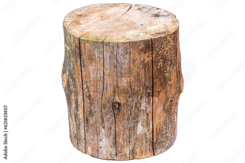 log isolated on a white background log isolated on a white background