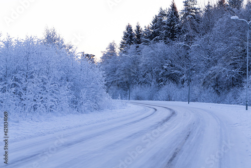 Winter forest with road covered with snow © romantsubin