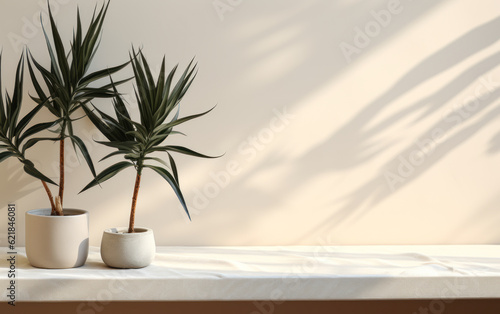 Serene Beauty Treatment: Sunlit Counter Table with Beige Cotton Tablecloth and Tropical Dracaena Tree on White Wall