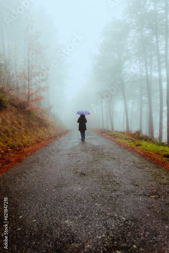 Person with umbrella walking with an umbrella along a road on a foggy autumn day.