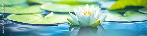 Tranquil Oasis  White Lotus and Green Leaves in Pond