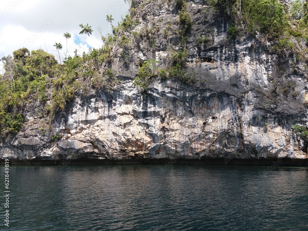 the natural beauty of Raja Ampat, Misool with extensive coral forests creates an amazing view from the top of the hill