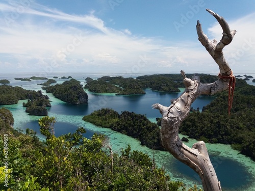 the natural beauty of Raja Ampat  Misool with extensive coral forests creates an amazing view from the top of the hill