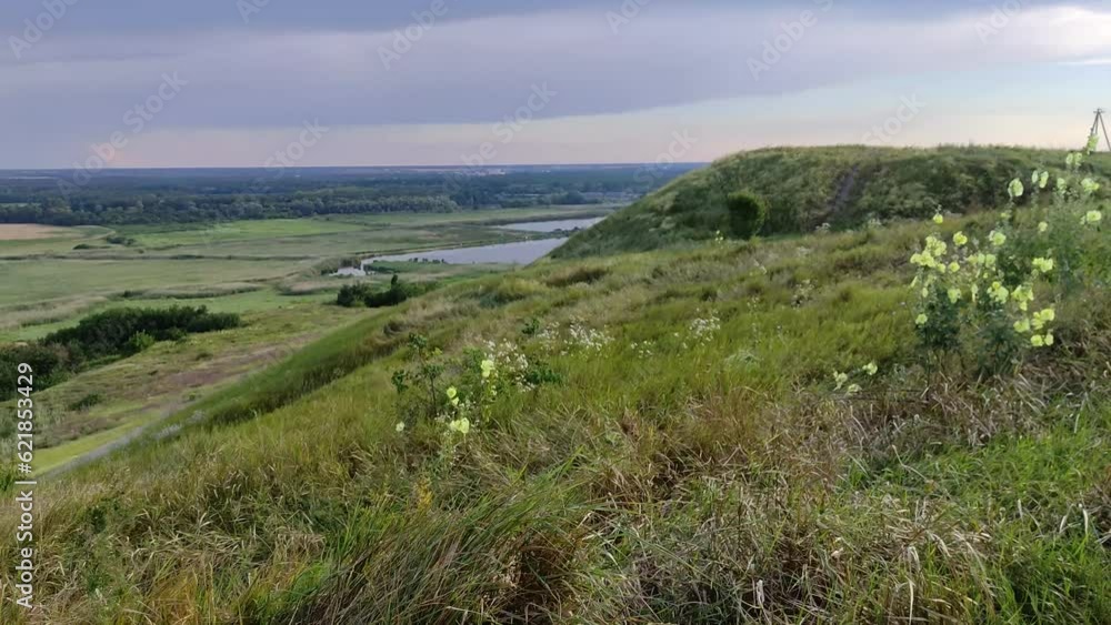 Field grass sways in the wind against the background of the valley with fields Field grass sways in the wind against the background of the valley with fields