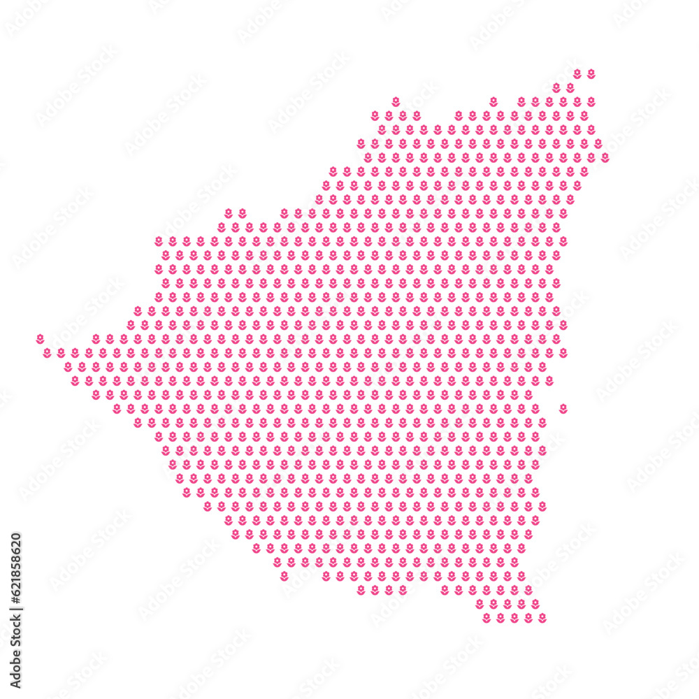 Map of the country of Nicaragua with pink flower icons on a white background