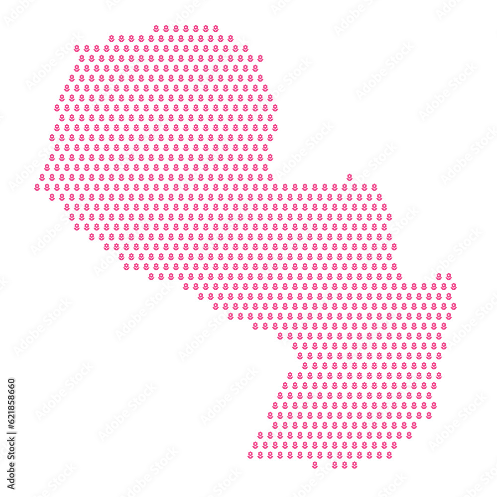 Map of the country of Paraguay with pink flower icons on a white background