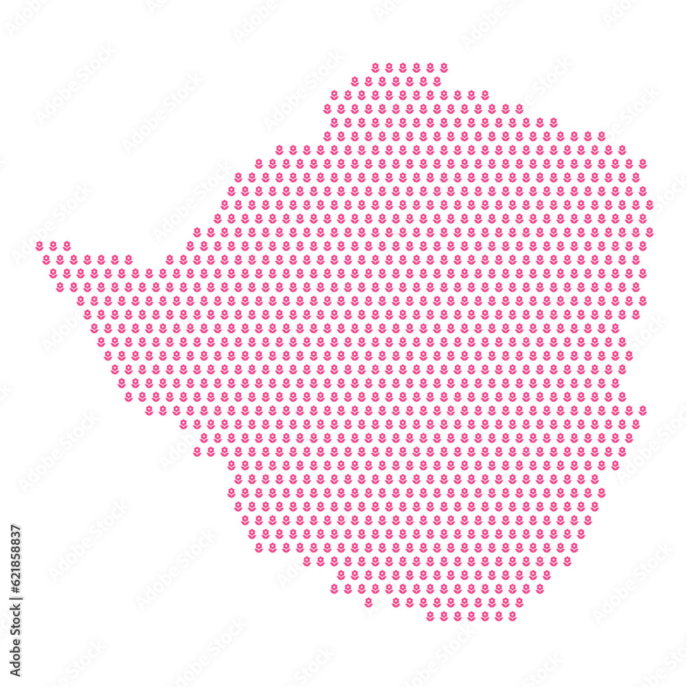 Map of the country of Zimbabwe with pink flower icons on a white background