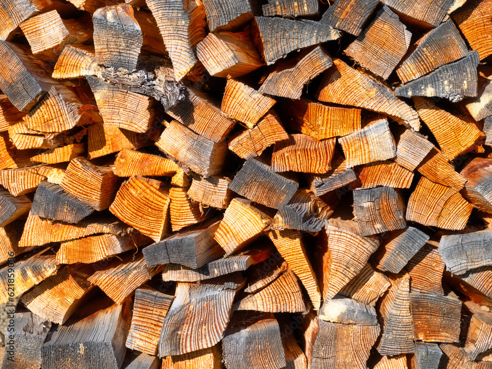 Fototapeta premium Logs as a background. Texture of natural wood. Large resolution photo for the design.