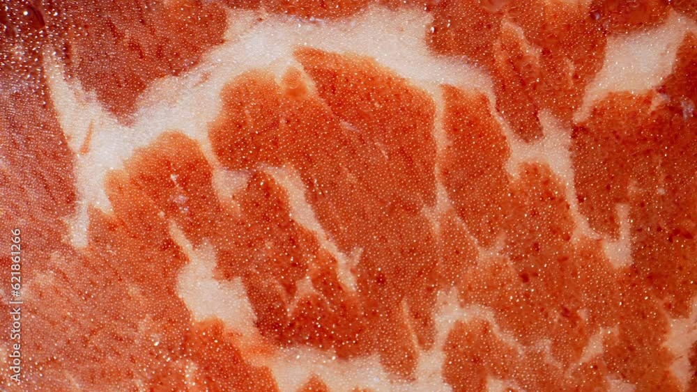 Mesmerizing probe lens macro video showcases the texture and marbling ...