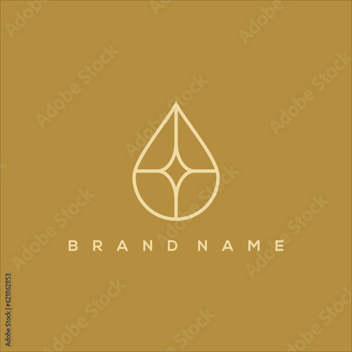 pure and jewel logo line art vector icon