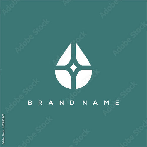 pure and jewel logo vector
