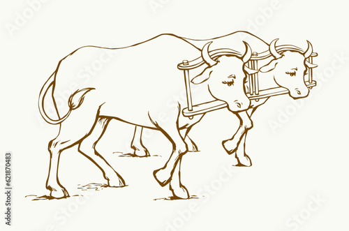 Vector drawing. Old wooden yoke on the cow