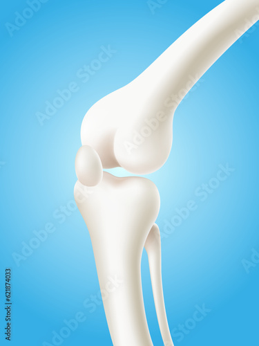 Human knee and leg bones isolated on light blue background. 3d realistic vector file.