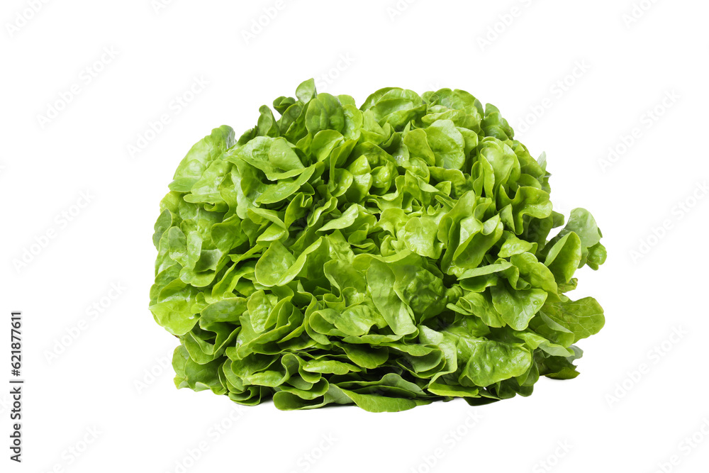PNG, fresh summer food - lettuce isolated on white background PNG, fresh summer food - lettuce isolated on white background
